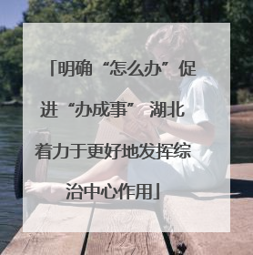 明确“怎么办”促进“办成事” 湖北着力于更好地发挥综治中心作用
