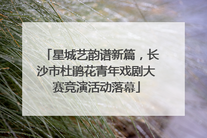 星城艺韵谱新篇，长沙市杜鹃花青年戏剧大赛竞演活动落幕
