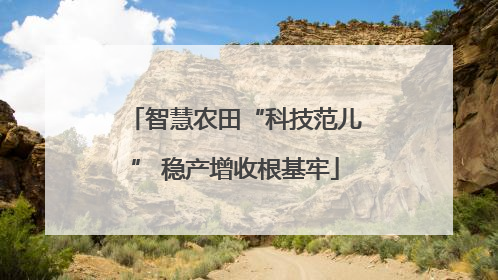 智慧农田“科技范儿” 稳产增收根基牢