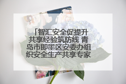 智汇安全促提升 共享经验筑防线 青岛市即墨区安委办组织安全生产共享专家现场观摩学习活动