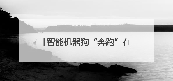 智能机器狗“奔跑”在深圳这片创业热土上