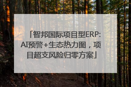 智邦国际项目型ERP:AI预警+生态热力图，项目超支风险归零方案