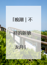 晚潮｜不一样的新塘龙舟