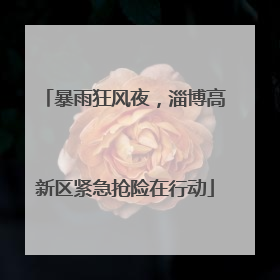 暴雨狂风夜，淄博高新区紧急抢险在行动