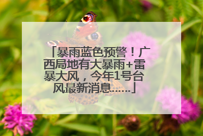 暴雨蓝色预警！广西局地有大暴雨+雷暴大风，今年1号台风最新消息……