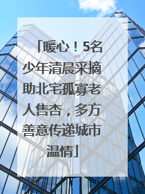 暖心！5名少年清晨采摘助北宅孤寡老人售杏，多方善意传递城市温情