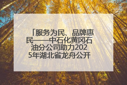 服务为民、品牌惠民——中石化黄冈石油分公司助力2025年湖北省龙舟公开赛（黄冈站）
