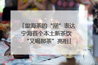 望海茶的“潮”表达 宁海首个本土新茶饮“又喝那茶”亮相