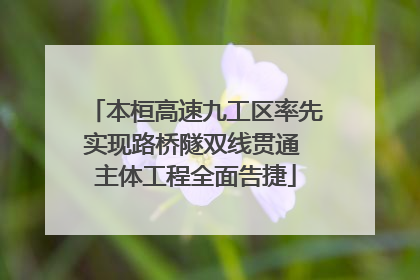 本桓高速九工区率先实现路桥隧双线贯通 主体工程全面告捷