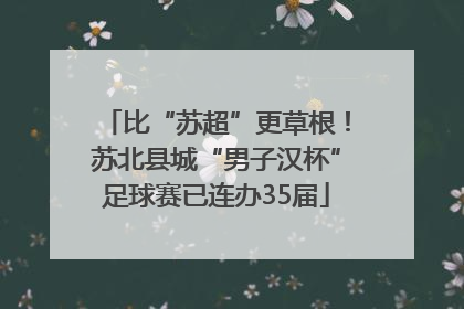 比“苏超”更草根！苏北县城“男子汉杯”足球赛已连办35届