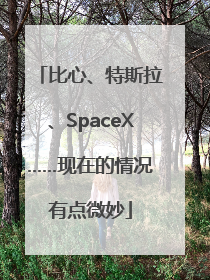 比心、特斯拉、SpaceX……现在的情况有点微妙