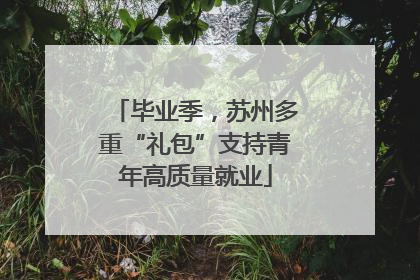 毕业季，苏州多重“礼包”支持青年高质量就业