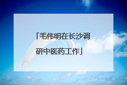 毛伟明在长沙调研中医药工作