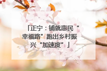 正宁：铺就惠民“幸福路”跑出乡村振兴“加速度”