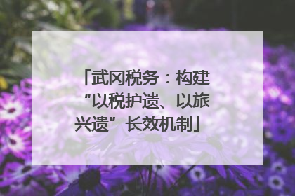 武冈税务：构建“以税护遗、以旅兴遗”长效机制