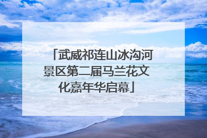 武威祁连山冰沟河景区第二届马兰花文化嘉年华启幕