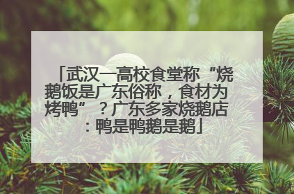 武汉一高校食堂称“烧鹅饭是广东俗称，食材为烤鸭”？广东多家烧鹅店：鸭是鸭鹅是鹅