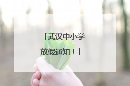 武汉中小学放假通知！