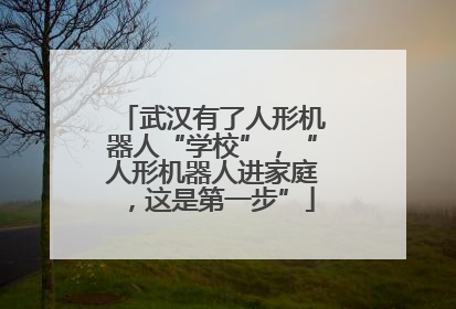 武汉有了人形机器人“学校”，“人形机器人进家庭，这是第一步”