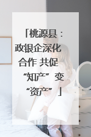 桃源县：政银企深化合作 共促“知产”变“资产”