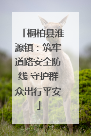 桐柏县淮源镇：筑牢道路安全防线 守护群众出行平安
