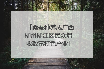 桑蚕种养成广西柳州柳江区民众增收致富特色产业