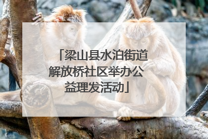 梁山县水泊街道解放桥社区举办公益理发活动
