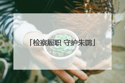 检察履职 守护朱鹮