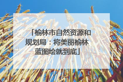 榆林市自然资源和规划局：将美丽榆林蓝图绘就到底