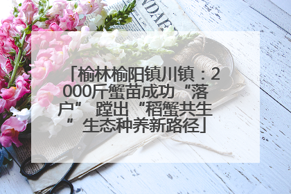 榆林榆阳镇川镇：2000斤蟹苗成功“落户” 蹚出“稻蟹共生”生态种养新路径