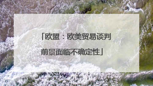 欧盟：欧美贸易谈判前景面临不确定性