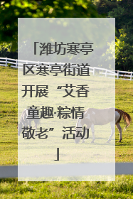 潍坊寒亭区寒亭街道开展“艾香童趣·粽情敬老”活动