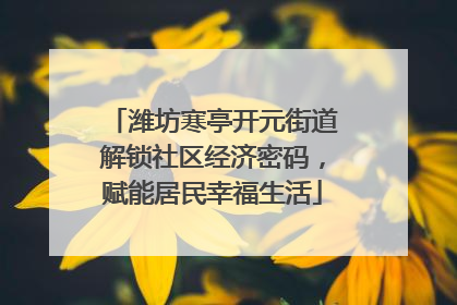 潍坊寒亭开元街道解锁社区经济密码，赋能居民幸福生活