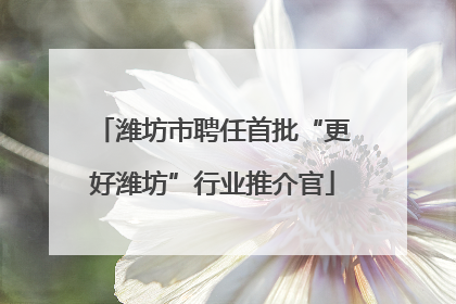 潍坊市聘任首批“更好潍坊”行业推介官
