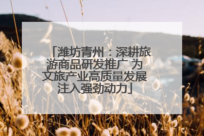 潍坊青州：深耕旅游商品研发推广 为文旅产业高质量发展注入强劲动力