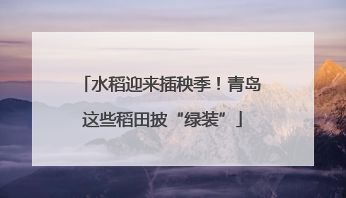 水稻迎来插秧季！青岛这些稻田披“绿装”