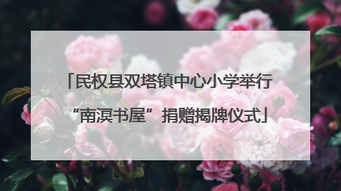 民权县双塔镇中心小学举行“南溟书屋”捐赠揭牌仪式