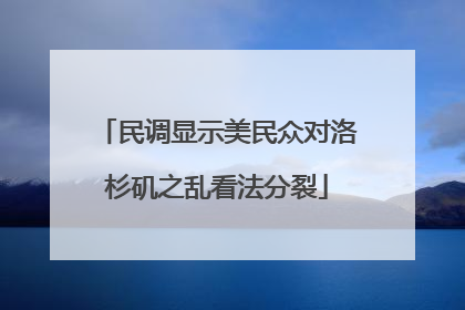 民调显示美民众对洛杉矶之乱看法分裂