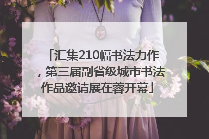汇集210幅书法力作，第三届副省级城市书法作品邀请展在蓉开幕