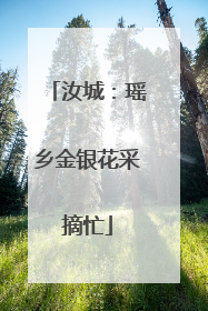 汝城：瑶乡金银花采摘忙