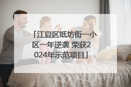 江夏区纸坊街一小区一年逆袭 荣获2024年示范项目