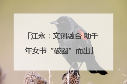 江永：文创融合 助千年女书“破圈”而出