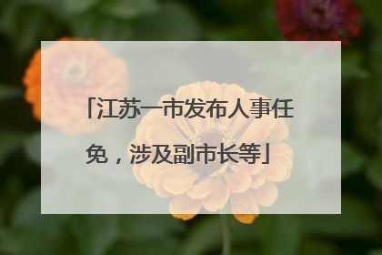 江苏一市发布人事任免，涉及副市长等