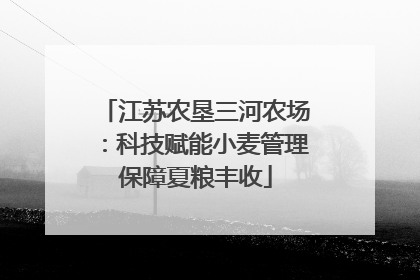 江苏农垦三河农场：科技赋能小麦管理保障夏粮丰收