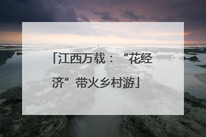 江西万载：“花经济”带火乡村游