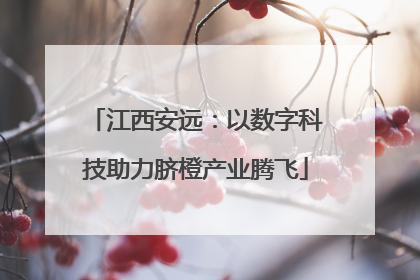 江西安远：以数字科技助力脐橙产业腾飞