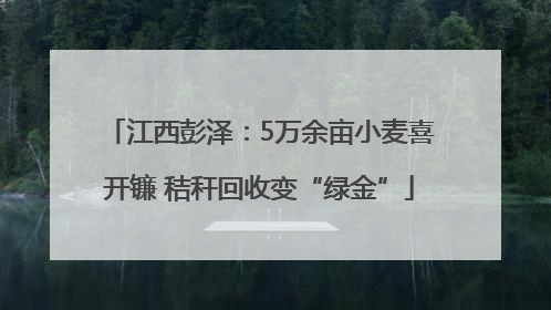 江西彭泽：5万余亩小麦喜开镰 秸秆回收变“绿金”