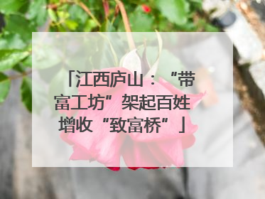 江西庐山：“带富工坊”架起百姓增收“致富桥”