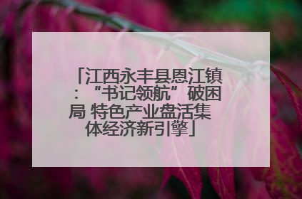 江西永丰县恩江镇：“书记领航”破困局 特色产业盘活集体经济新引擎