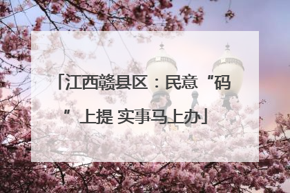 江西赣县区：民意“码”上提 实事马上办
